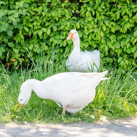 Landleben