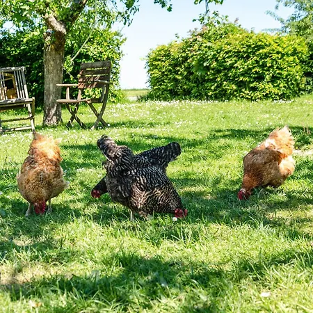 Landleben * Hofgeismar