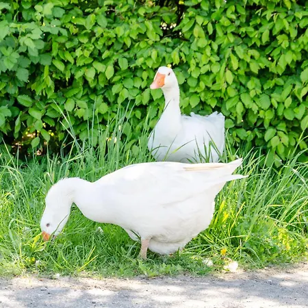 Landleben