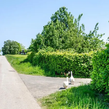 Landleben * Hofgeismar