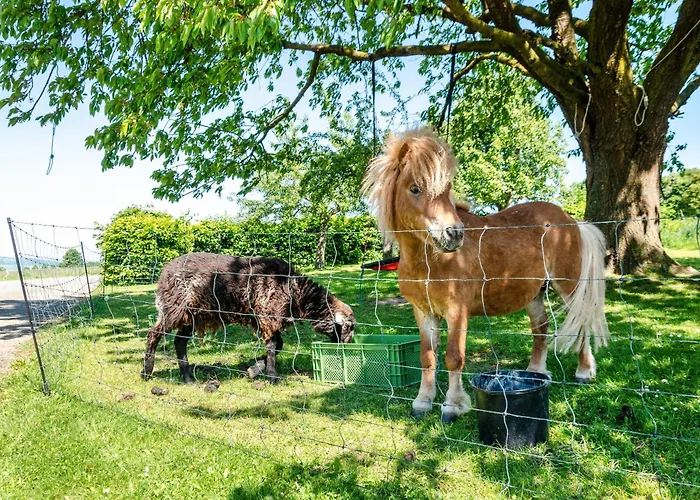 Apartamento Landleben